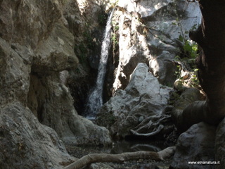 ldaia del Drago19-07-2015 11-44-06